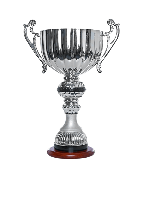 https://thesnaptrainingbat.com/wp-content/uploads/2022/11/trophy_01.png
