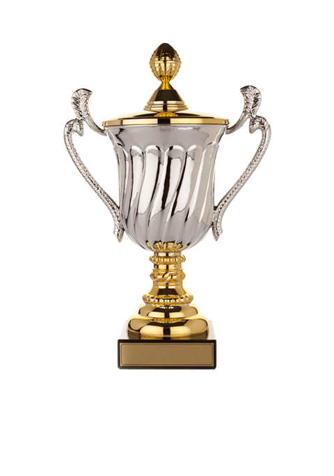 https://thesnaptrainingbat.com/wp-content/uploads/2022/11/trophy_02.png