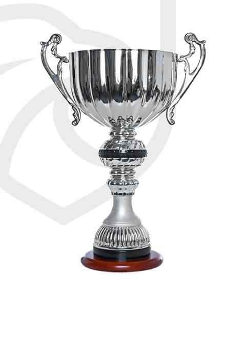 https://thesnaptrainingbat.com/wp-content/uploads/2022/11/trophy_overlay_01.jpg