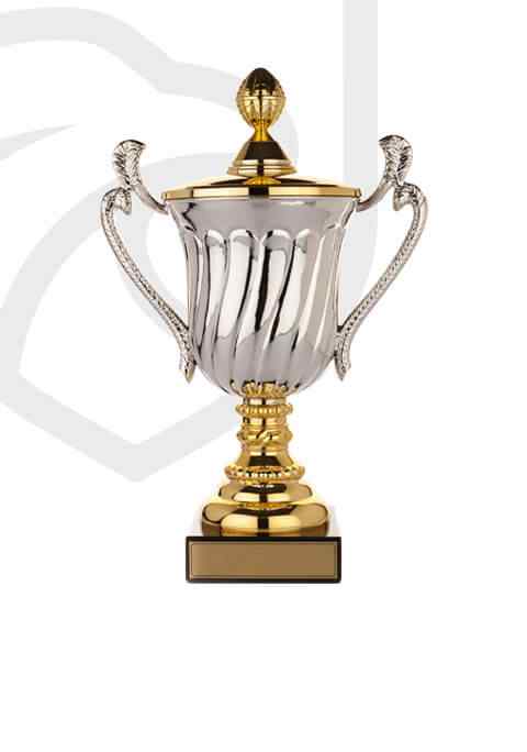 https://thesnaptrainingbat.com/wp-content/uploads/2022/11/trophy_overlay_02.jpg