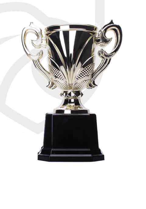https://thesnaptrainingbat.com/wp-content/uploads/2022/11/trophy_overlay_04.jpg
