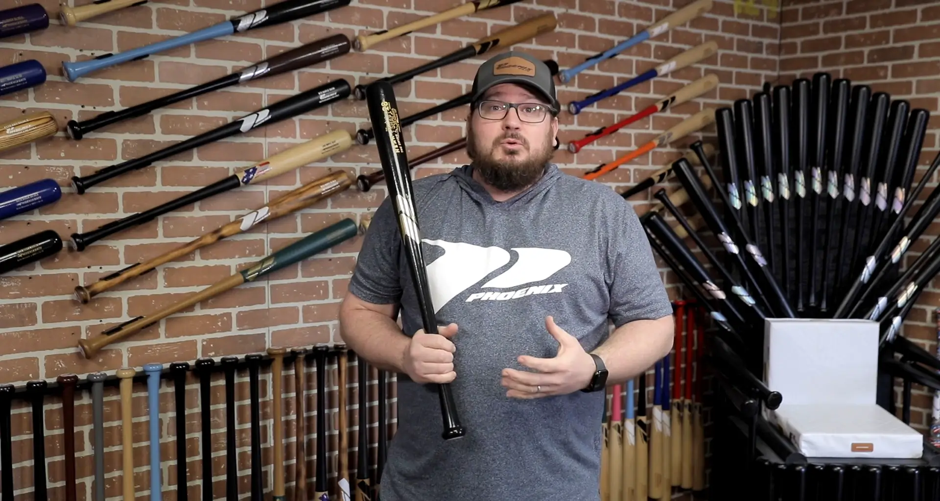 SNAP BAT OVERVIEW